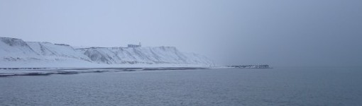 Ved havet om vinteren